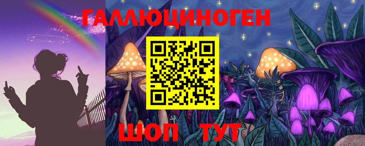 Псилоцибиновые грибы Psilocybe  Вход с VPN  Соль-Илецк 